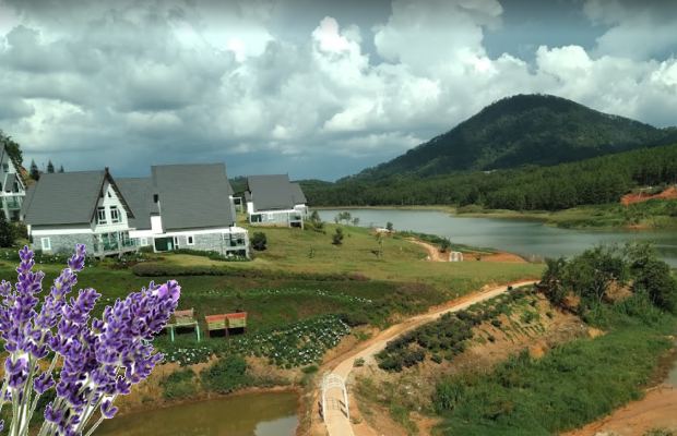 khu du lịch lavender đà lạt - Hình 5