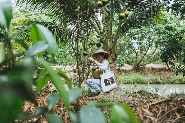 khu du lịch lung tràm - Hình 4