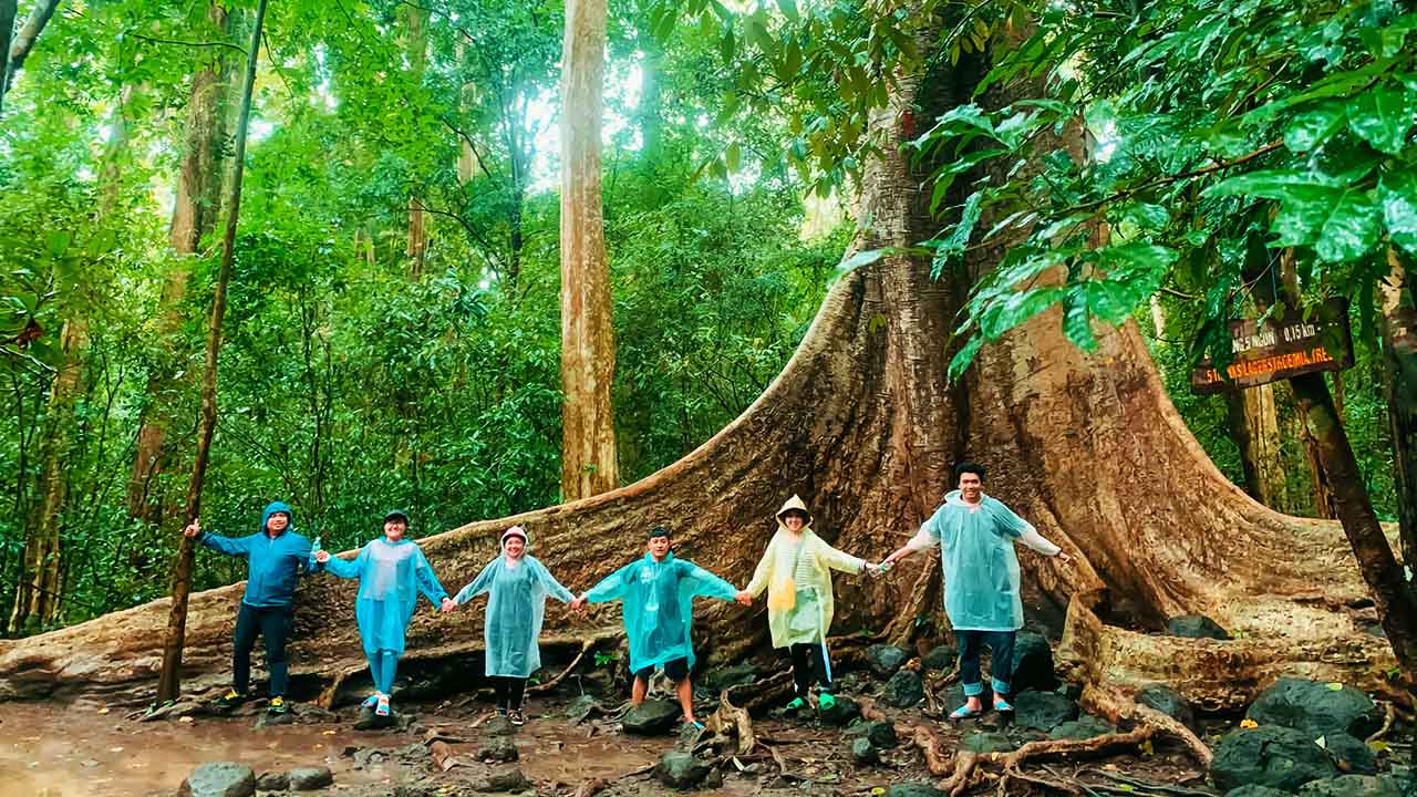 khu du lịch nam cát tiên đồng nai - Hình 5