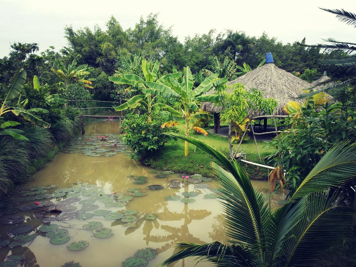 khu du lịch nhà vườn long phước - Hình 3
