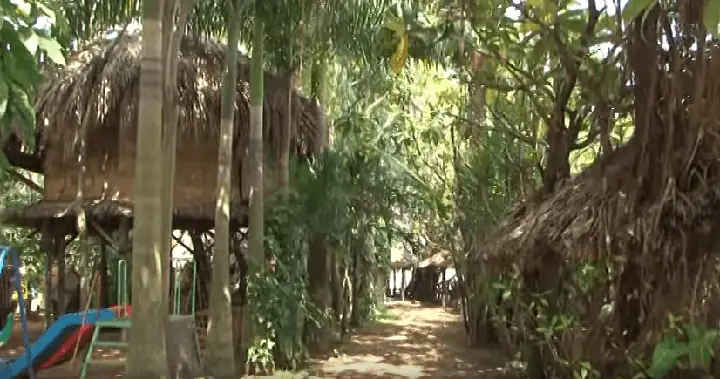 khu du lịch nhà vườn long phước - Hình 4