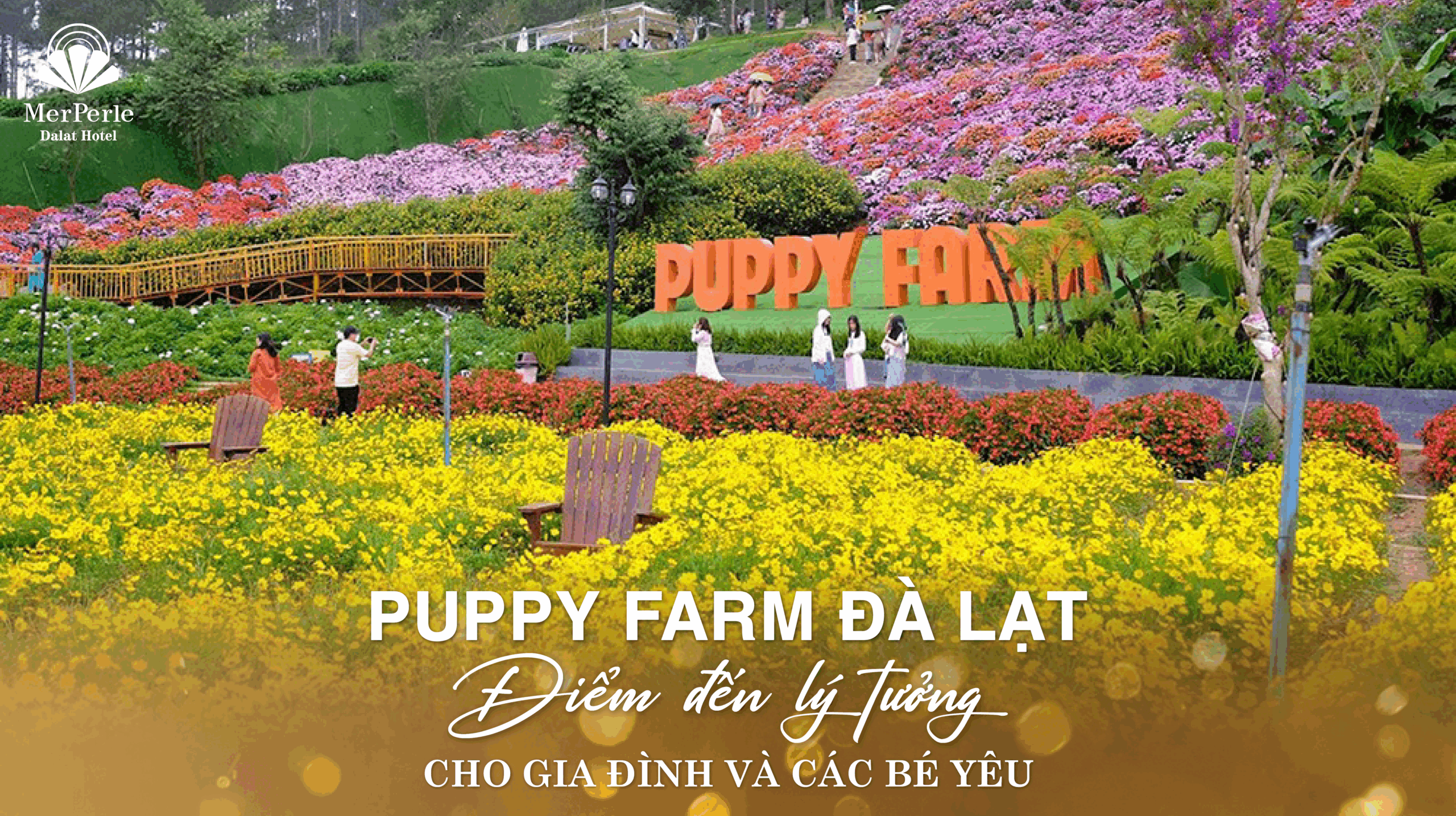 khu du lịch puppy farm - Hình 2