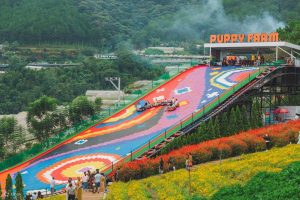 khu du lịch puppy farm