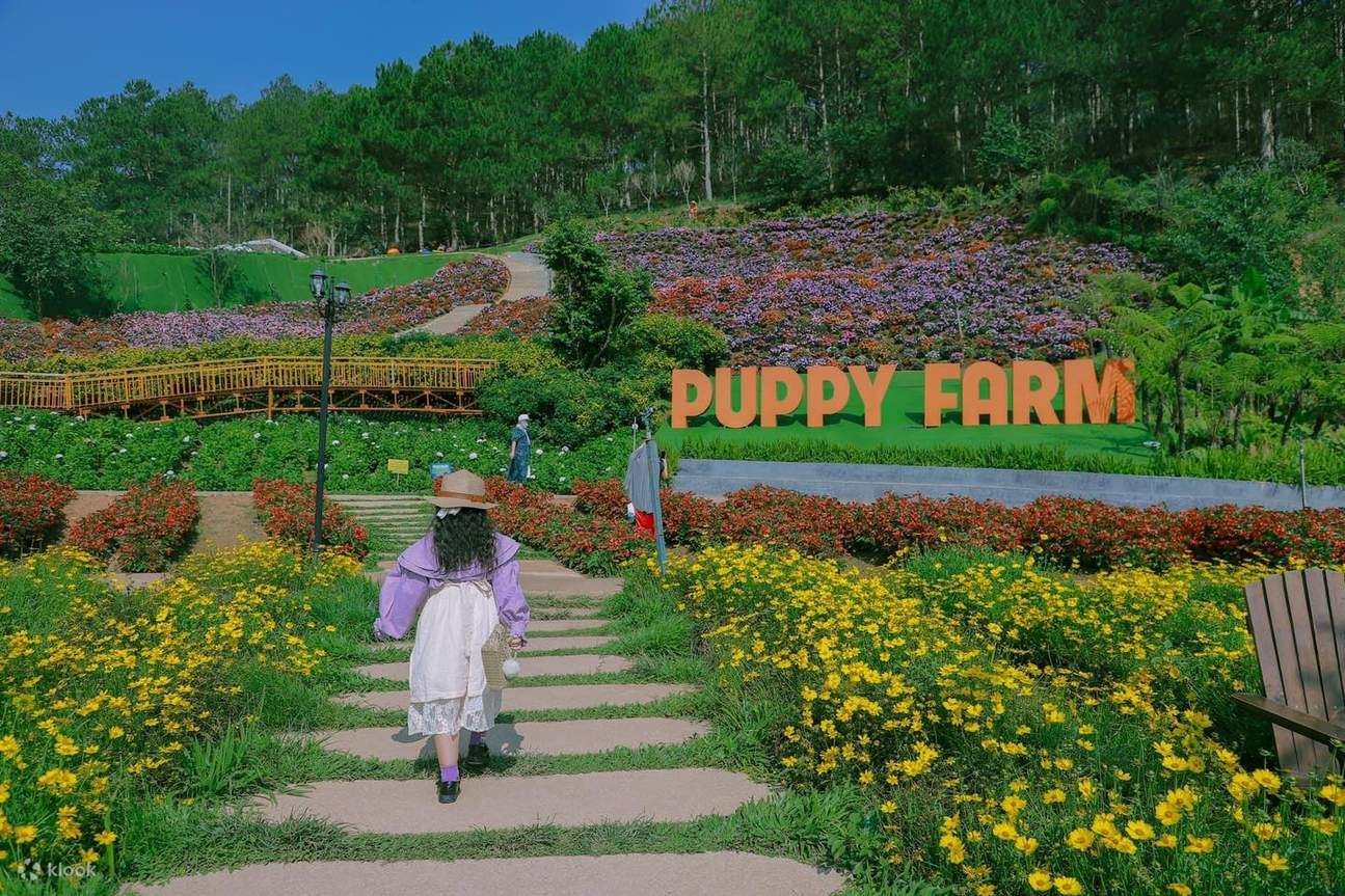 khu du lịch puppy farm - Hình 4