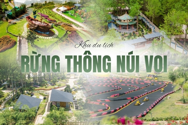 khu du lịch rừng thông núi voi review - Hình 2