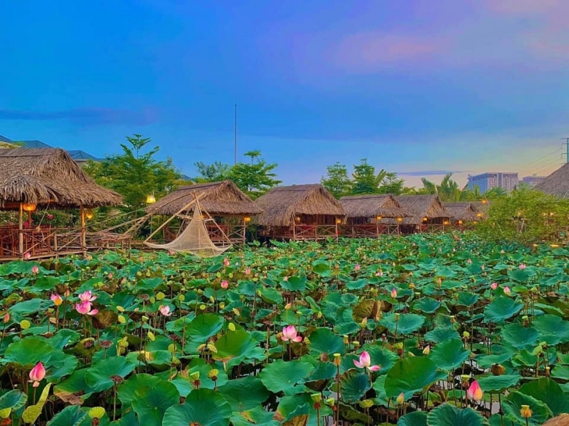 khu du lịch sen nam bộ - Hình 2