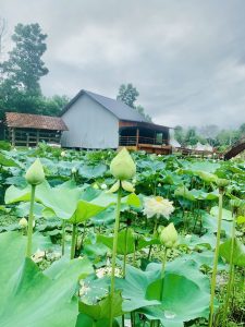 khu du lịch sinh thái bản ven xanh