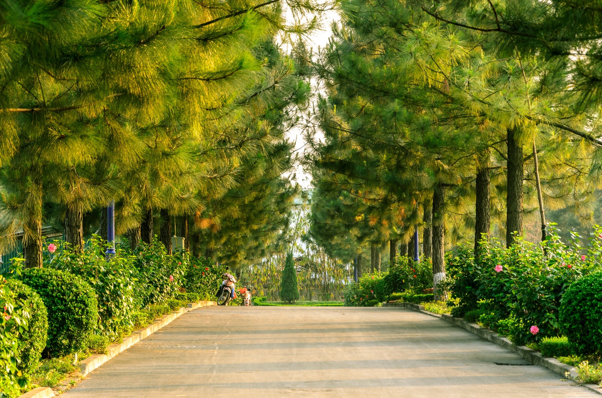 khu du lịch sinh thái đan phượng - Hình 5