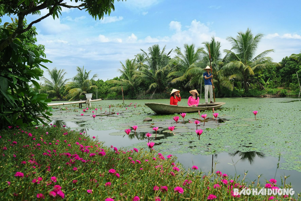 khu du lịch sinh thái đồng mẩn - Hình 1