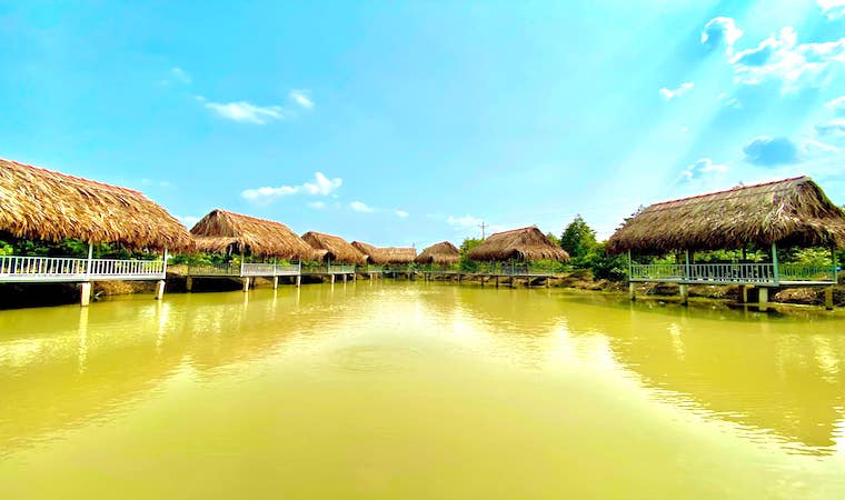 khu du lịch sinh thái đồng xanh - Hình 2