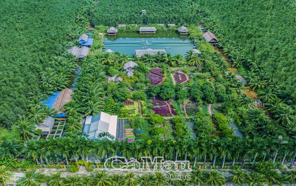khu du lịch sinh thái hương tràm u minh ảnh - Hình 5