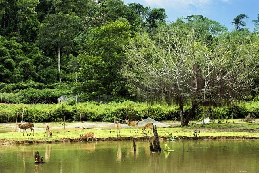 khu du lịch sinh thái madagui - Hình 5