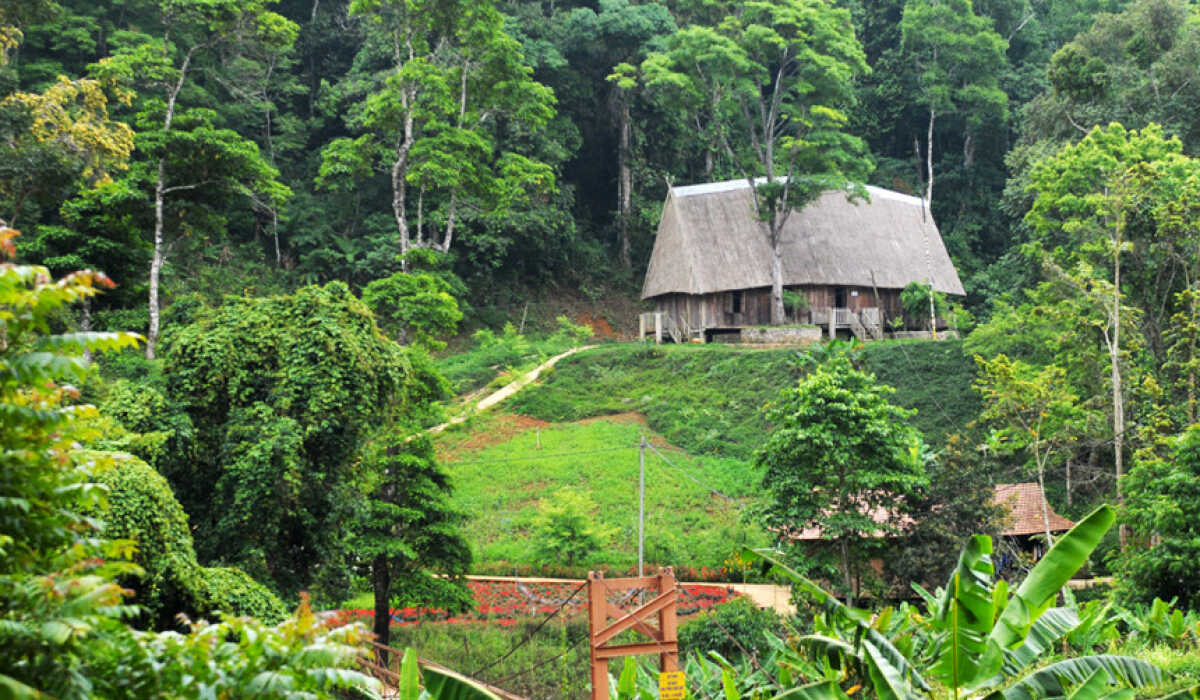 khu du lịch sinh thái măng đen ở đâu - Hình 5