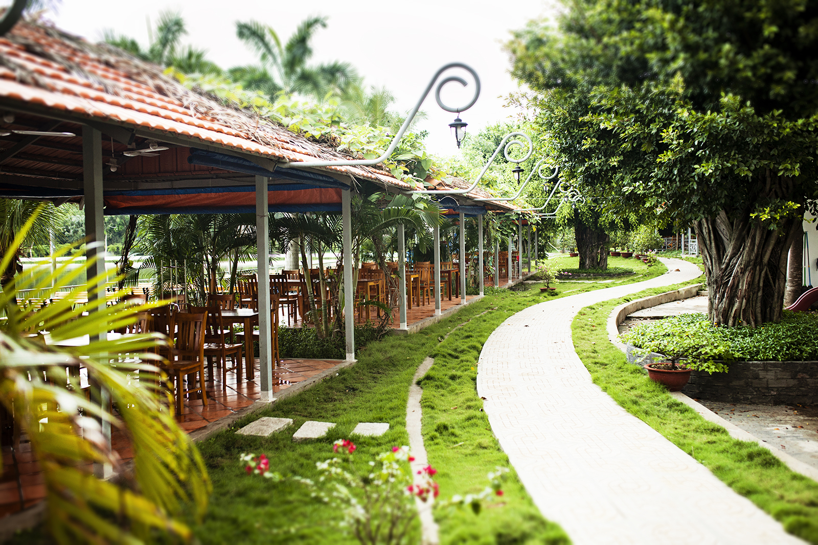 khu du lịch sinh thái ở bình chánh - Hình 5