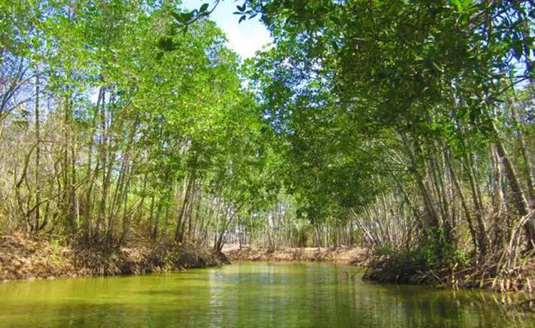 khu du lịch sinh thái ở trà vinh - Hình 4
