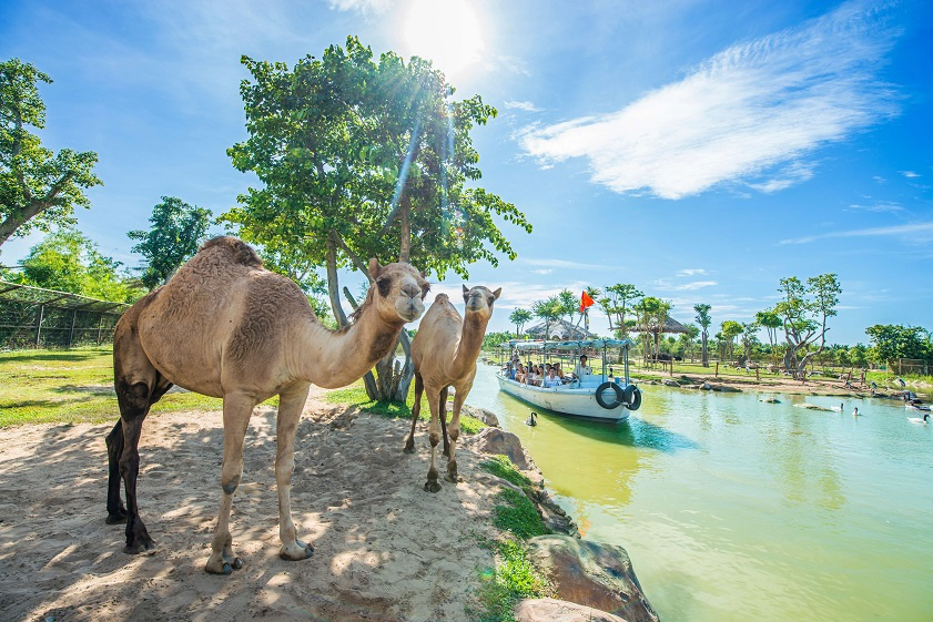 khu du lịch sinh thái quảng nam - Hình 3