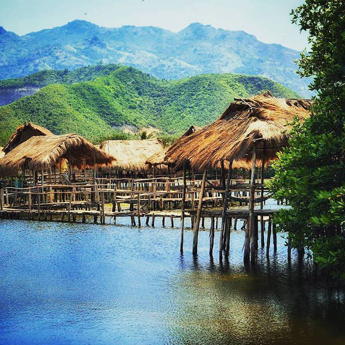 khu du lịch sinh thái rừng đước - Hình 2