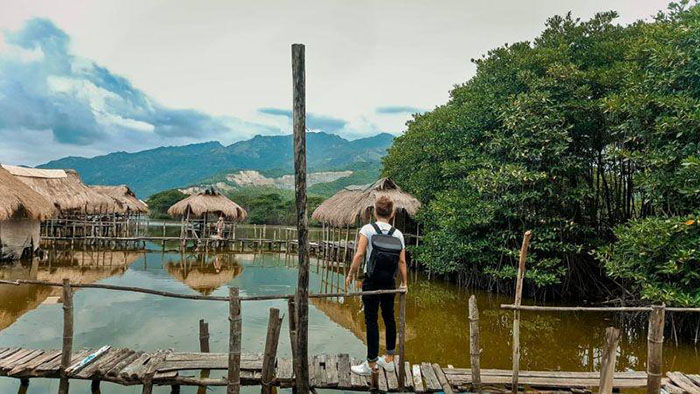 khu du lịch sinh thái rừng đước - Hình 5