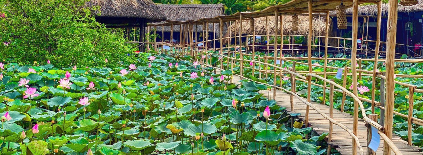 khu du lịch sinh thái sen nam bộ - Hình 2