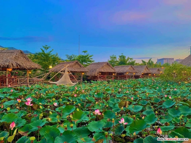 khu du lịch sinh thái sen nam bộ - Hình 3