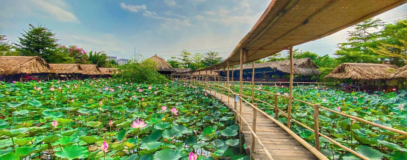khu du lịch sinh thái sen nam bộ - Hình 4