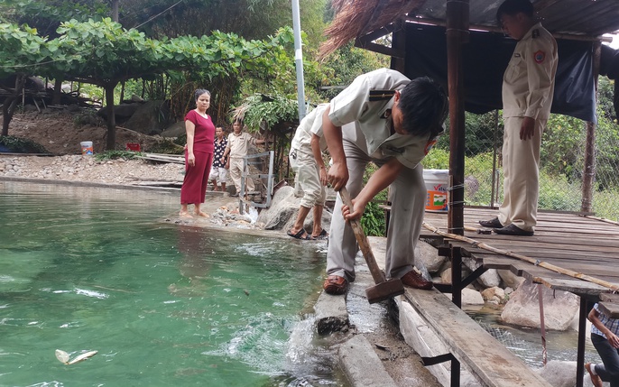 khu du lịch sinh thái thủy lâm viên - Hình 2