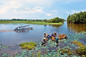 khu du lịch sinh thái tràm chim