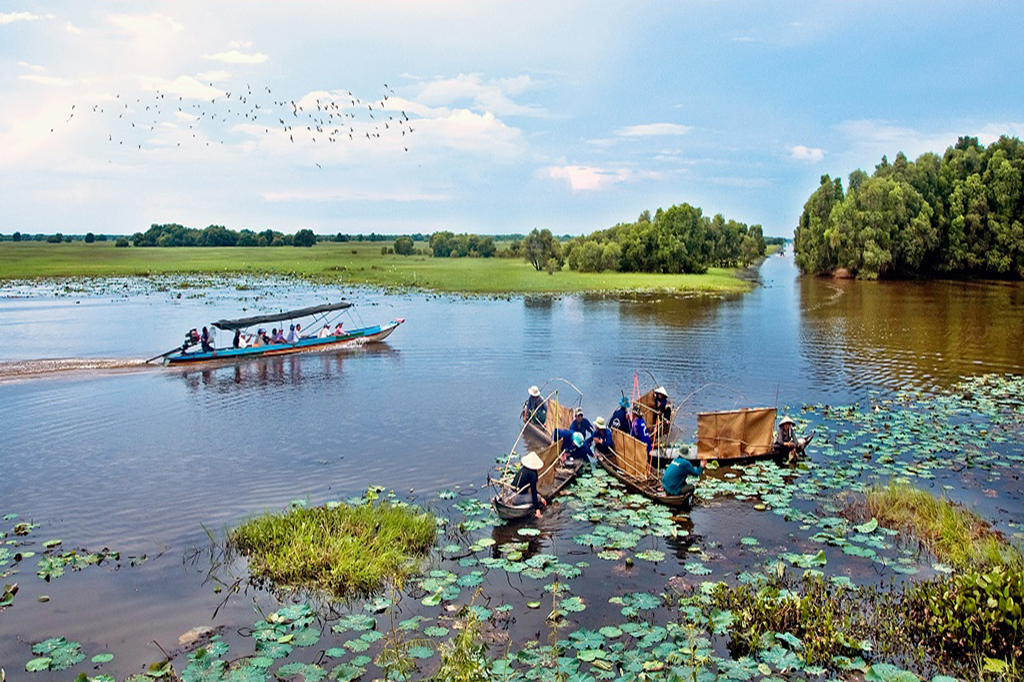 khu du lịch sinh thái tràm chim - Hình 1