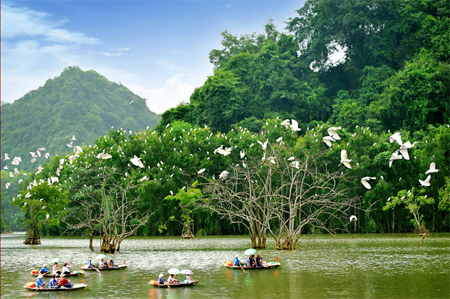 khu du lịch sinh thái vườn chim thung nham - Hình 1