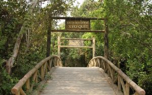 khu du lịch sinh thái xẻo quýt