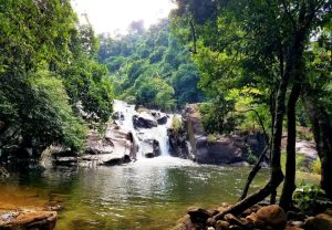 khu du lịch sinh thái yeshue eco