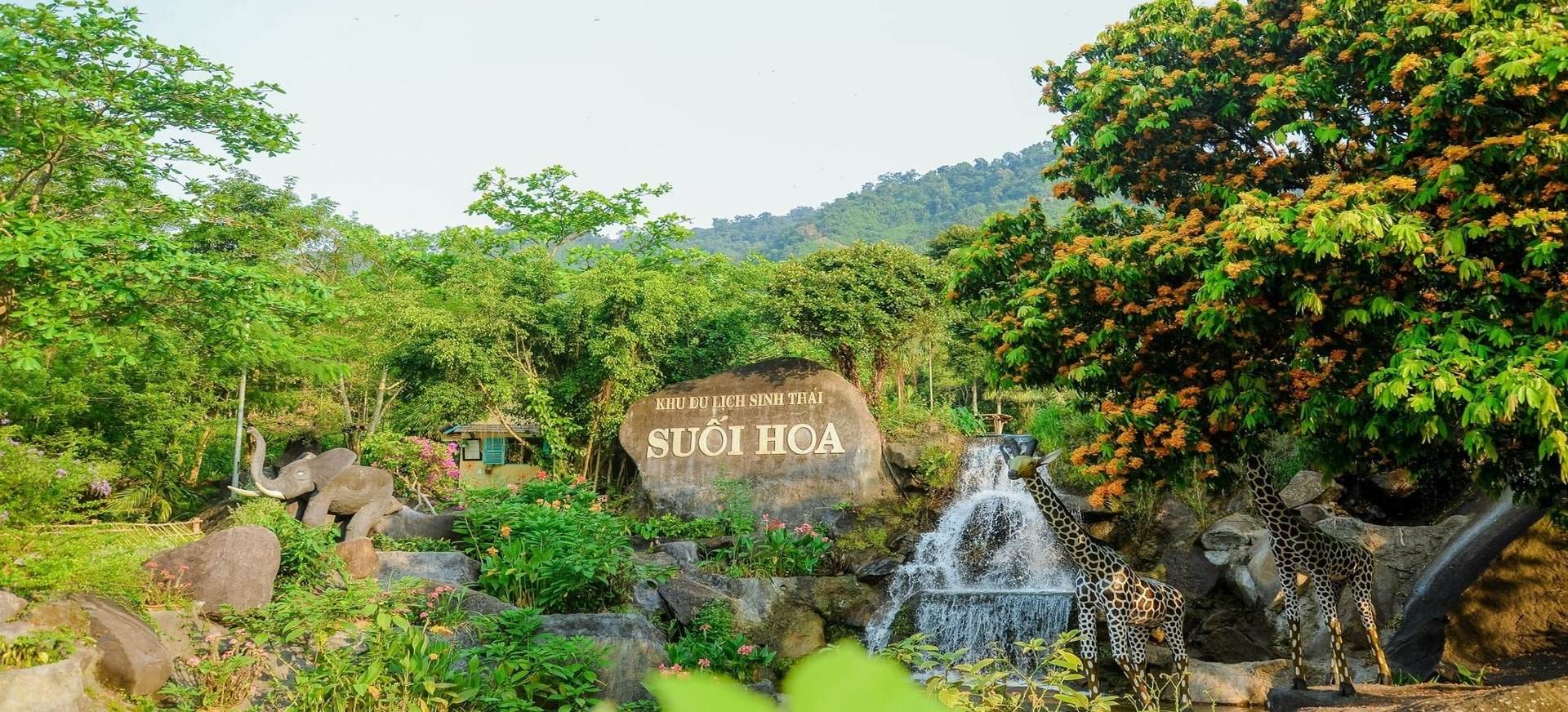khu du lịch suối hoa hòa bình - Hình 4