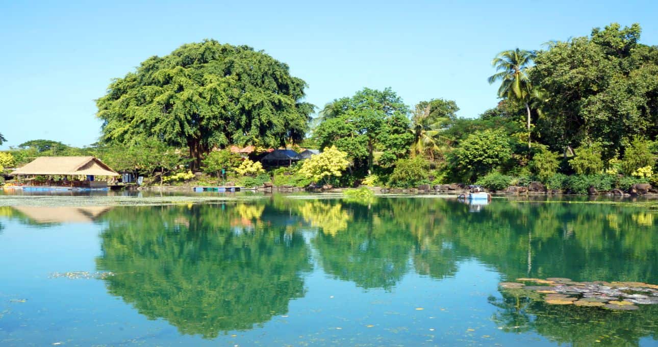 khu du lịch suối mơ đà nẵng - Hình 4