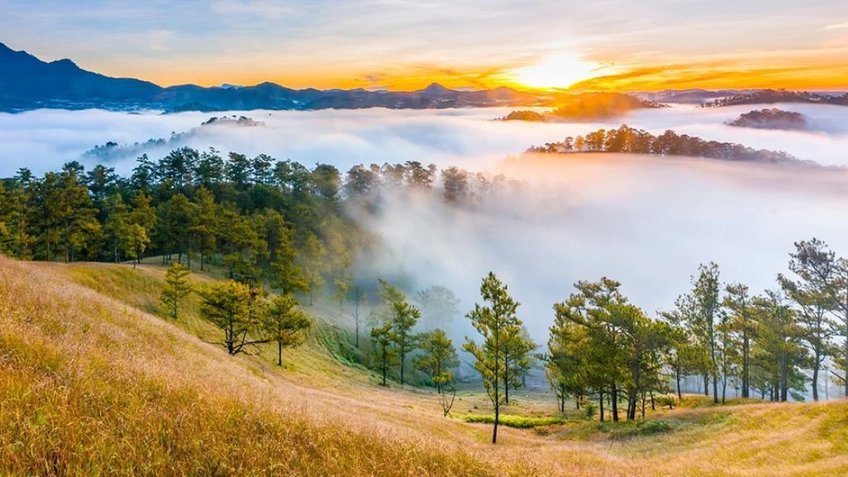 khu du lịch thông reo đà lạt - Hình 2
