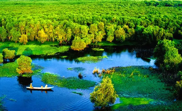 khu du lịch tràm chim đồng tháp ảnh - Hình 3