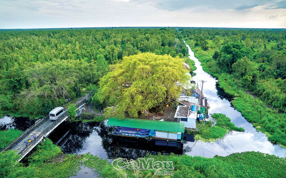 khu du lịch u minh hạ - Hình 5