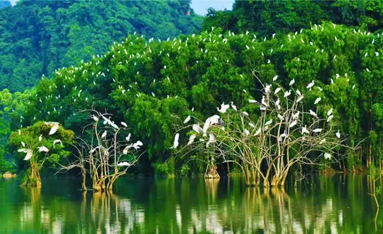 khu du lịch vàm hồ - Hình 3