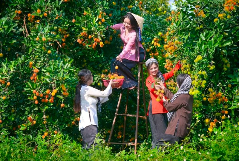 khu du lịch vườn trái cây bến tre - Hình 1