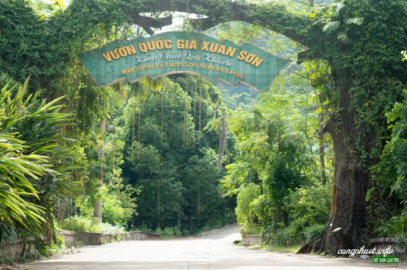 khu du lịch xuân sơn phú thọ - Hình 1