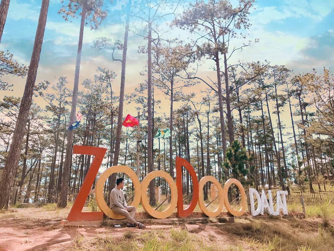 khu du lịch zoodoo đà lạt - Hình 3