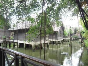 khu+du+lịch+bình+quới+2 - Hình 5