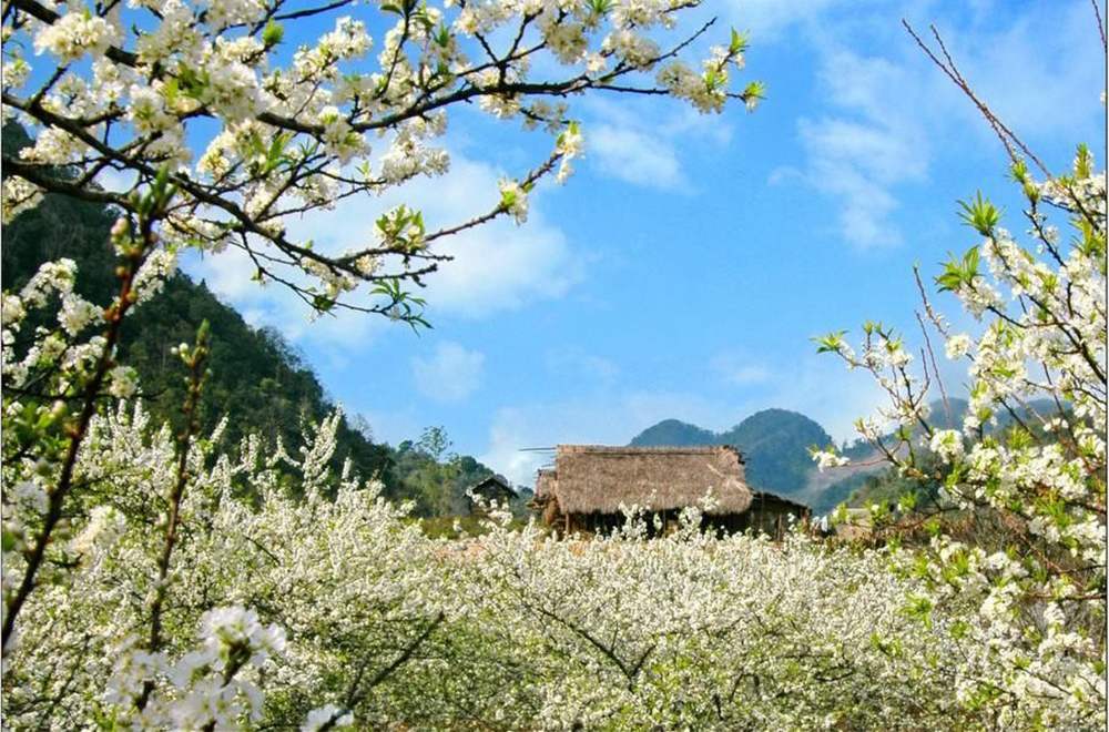 kinh nghiệm du lịch bắc hà - Hình 3