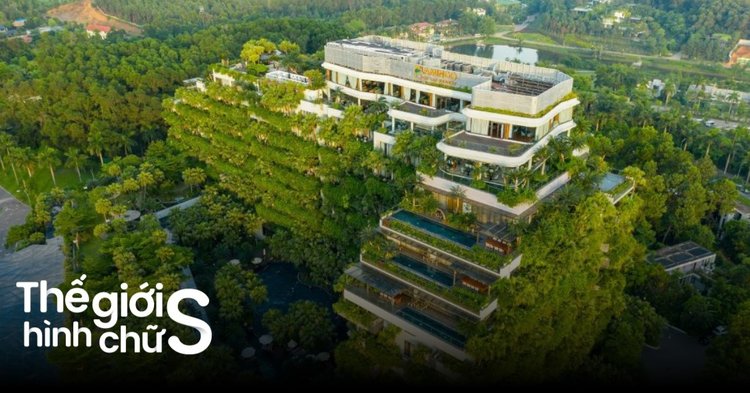 kinh nghiệm du lịch đại lải - Hình 5