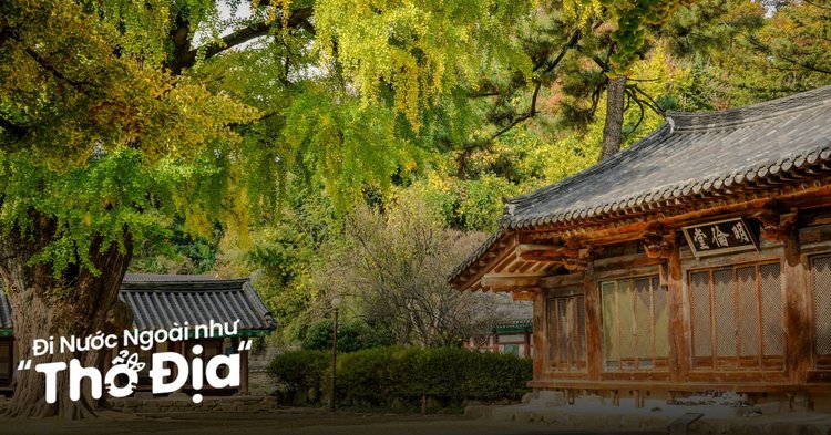 kinh nghiệm du lịch hàn quốc tự túc - Hình 2