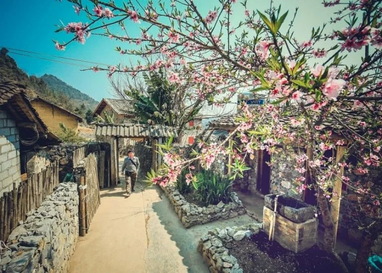 kinh nghiệm du lịch lô lô chải - Hình 5