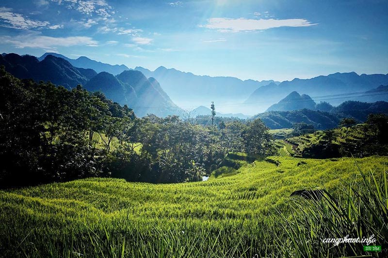 kinh nghiệm du lịch pù luông - Hình 2