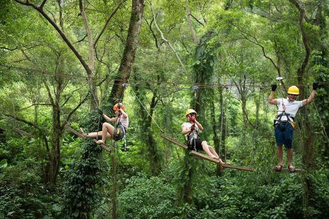 kinh nghiệm du lịch quảng bình cho gia đình - Hình 4