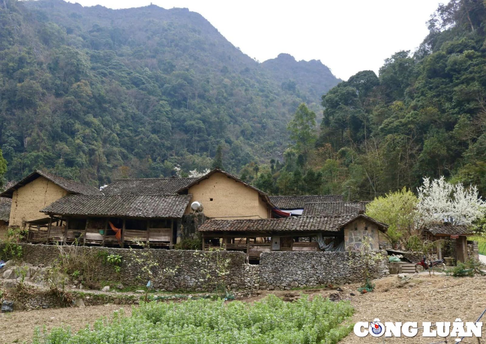 làng văn hóa du lịch lũng cẩm - Hình 5