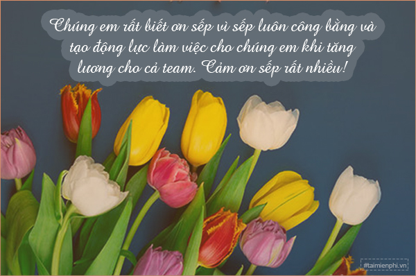 lời cảm on sếp về chuyến đi du lịch - Hình 3