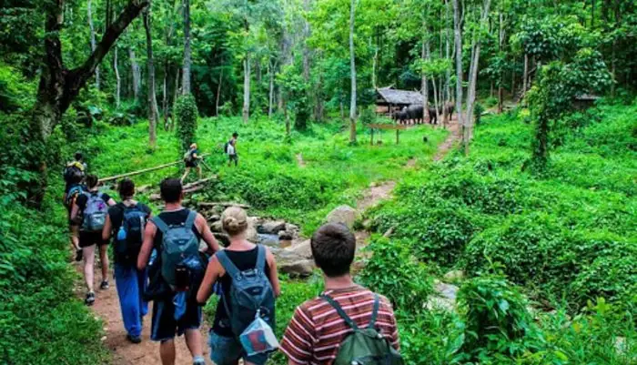lợi ích của du lịch sinh thái - Hình 2